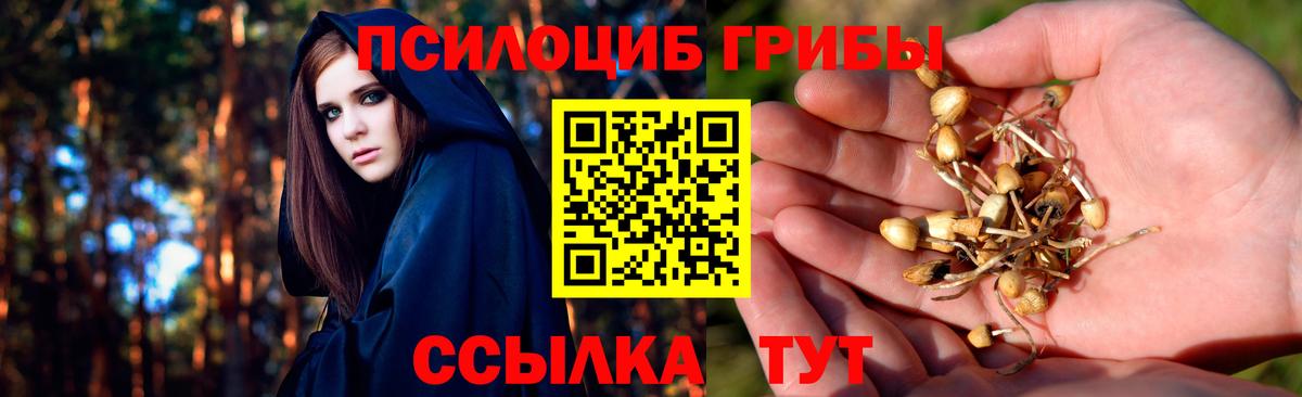 Галлюциногенные грибы Psilocybine cubensis  Псилоцибиновые грибы прущие грибы  купить закладку  Серов  Вход с VPN 